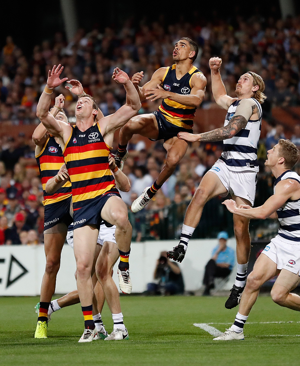 皇家社会训练开放日，国际比赛日战术微调引欢呼，英超在即，更衣室氛围转暖(日本和朝鲜足球比赛结果)